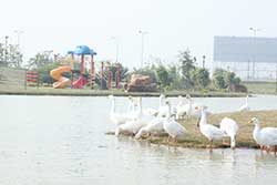 25-Dec 2018 GYC Car O Ghar