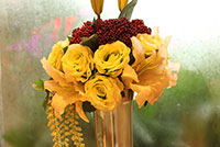 Gaur Mulberry Mansions Launch Party